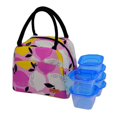 पोर्टेबल लंच कूलर बैग